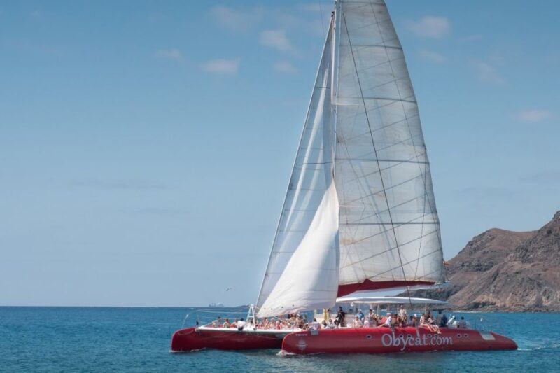 Caleta De Fuste: Catamaran Sailing Experience - Boat and Crew