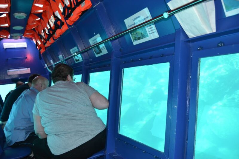 Caleta De Fuste: Glass-Bottom Boat Tour - Discovering the Underwater World