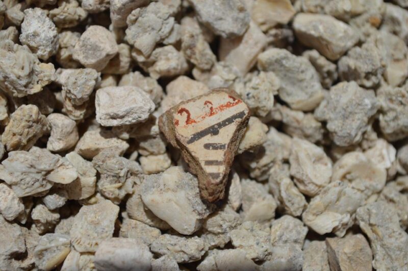 Caleta Los Hornos: Hiking Archaeological Sites - Highlights of the Experience