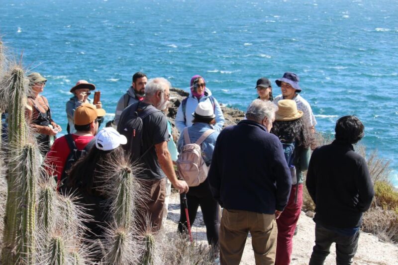 Caleta Los Hornos: Hiking Archaeological Sites - Whats Included
