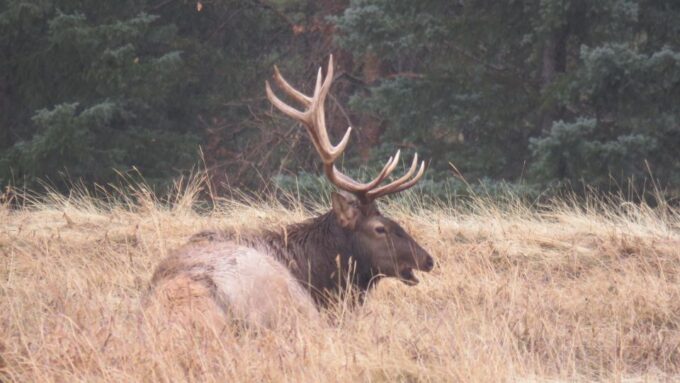 Calgary: 2-Day Banff National Park Highlights Summer Tour - Frequently Asked Questions