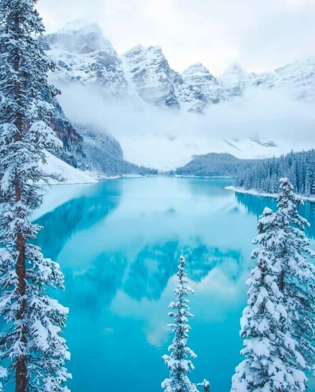 Calgary, Banff: Lake louise , Moraine ,Emerald Lake day Tour - A Deep Dive into the Tour Experience
