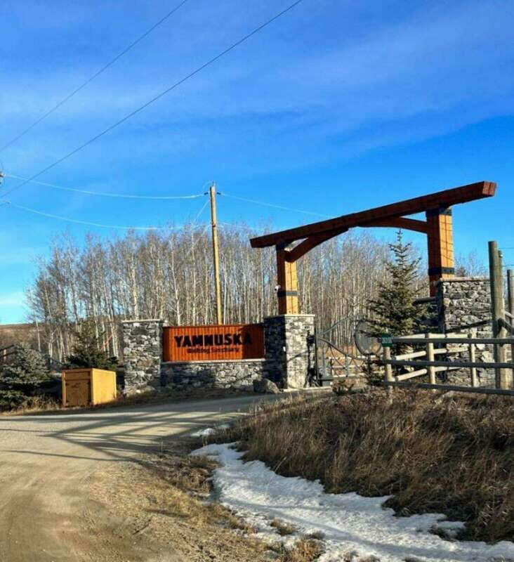 Calgary City Tour & Yamnuska Wolfdog Sanctuary Private Tour - Who Will Love This Experience?