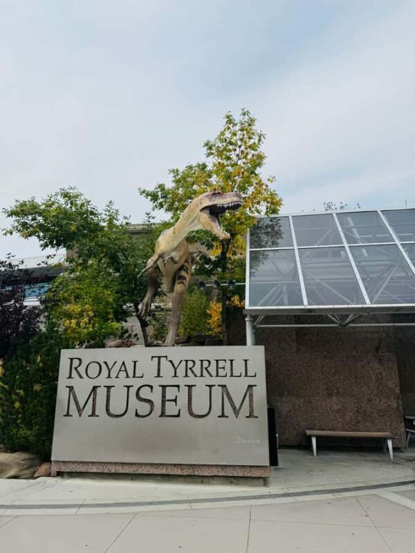 Calgary: Drumheller and Badlands Tour with Museum Entry - Who Will Love This Tour?