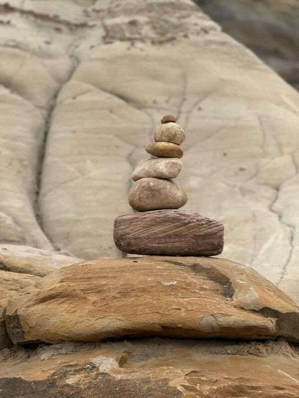 Calgary: Drumheller and Badlands Tour with Museum Entry - Who Should Book This Tour?
