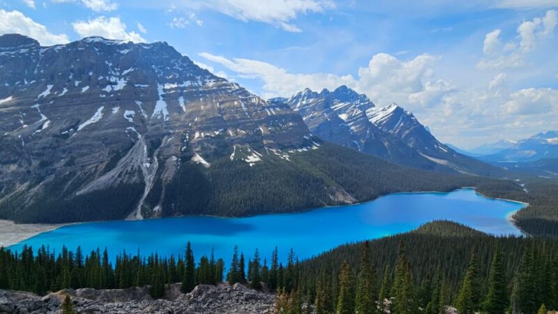 Calgary: Glaciers, Mountains, Lakes, Canmore and Banff Tour - Included Services