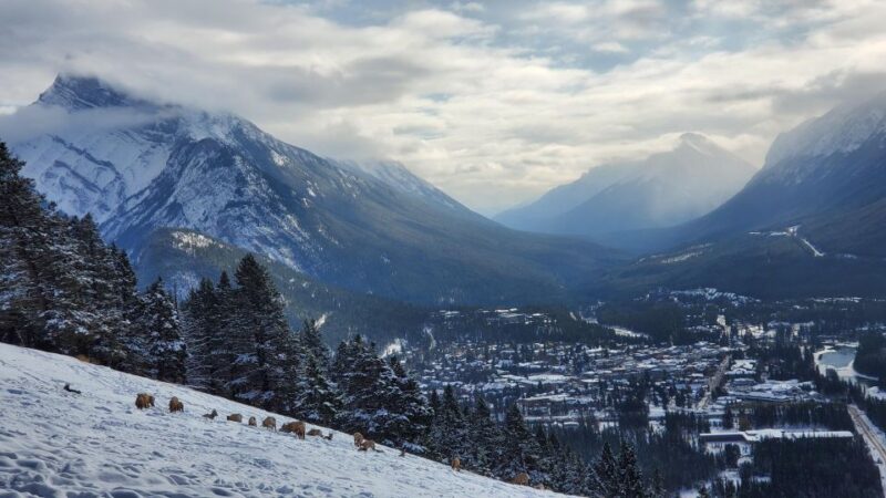 Calgary: Glaciers, Mountains, Lakes, Canmore and Banff Tour - Customer Reviews