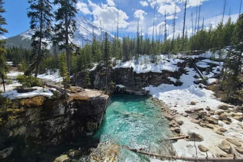 Calgary: Radium Hot Springs & Marble Canyon Day Trip - Authentic Traveler Insights
