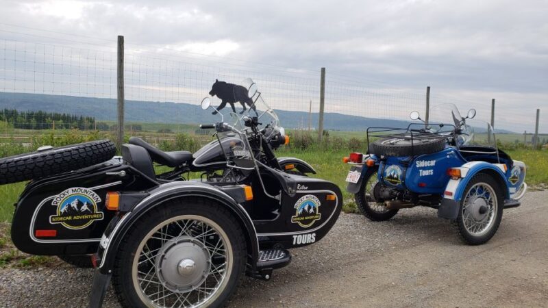 Calgary: Scenic Cochrane and Canmore Sidecar Motorcycle Tour - Language and Guide