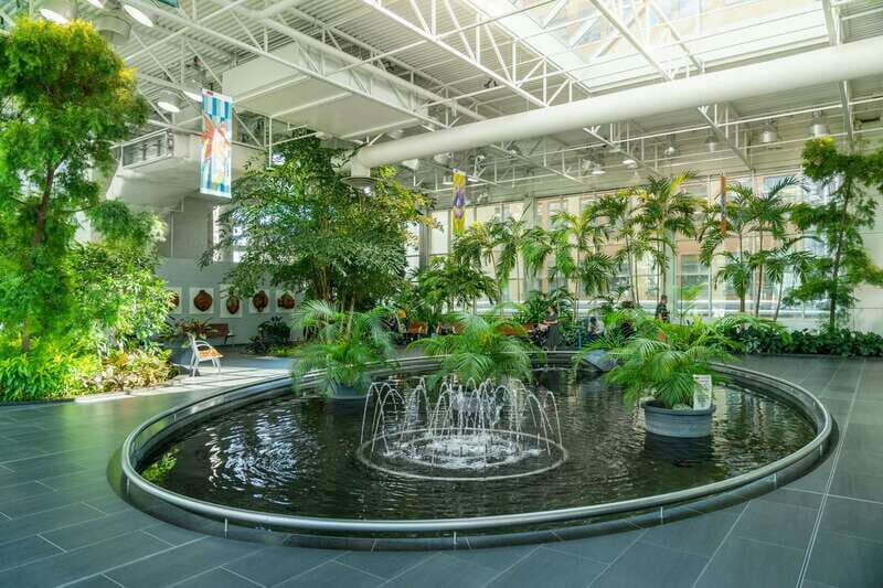 Calgary: Tips-Based City Highlights Walking Tour | 3-Hour - Why This Tour Offers Good Value