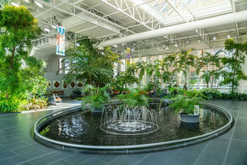 Calgary: Tips-Based City Highlights Walking Tour | 3-Hour - Key Points