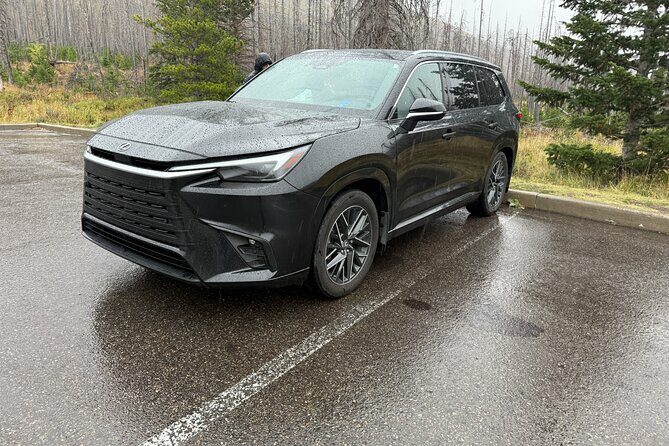 Calgary to Banff, Canmore, Lake Louise, Luxury Lexus TX - Who Benefits Most?