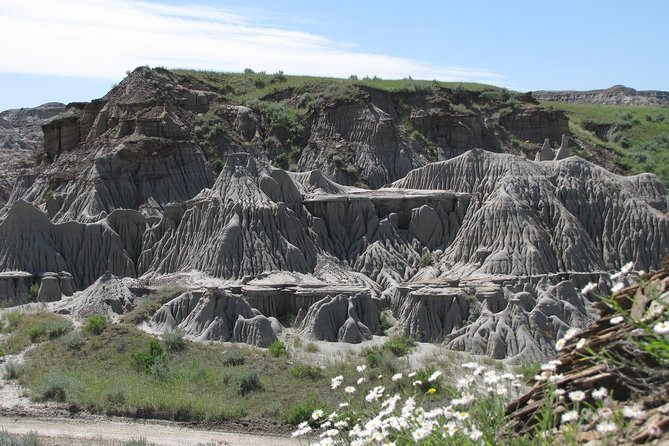 Calgary to Royal Tyrrell Museum | Drumheller – PRIVATE TOUR - Inclusions and Exclusions