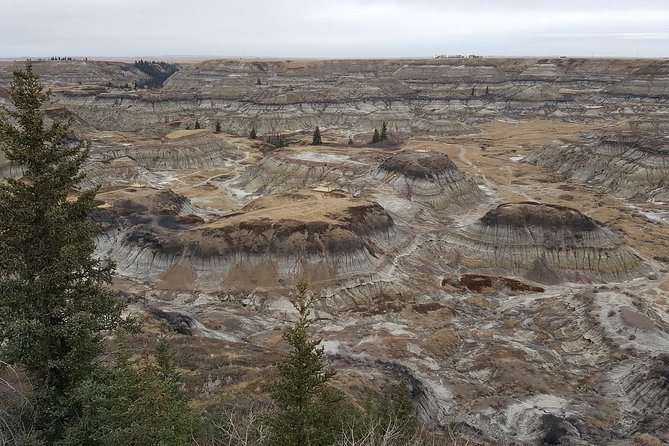 Calgary to Royal Tyrrell Museum | Drumheller – PRIVATE TOUR - Confirmation and Booking Details