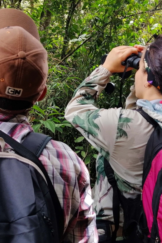Cali: Bird Watching - Booking and Cancellation