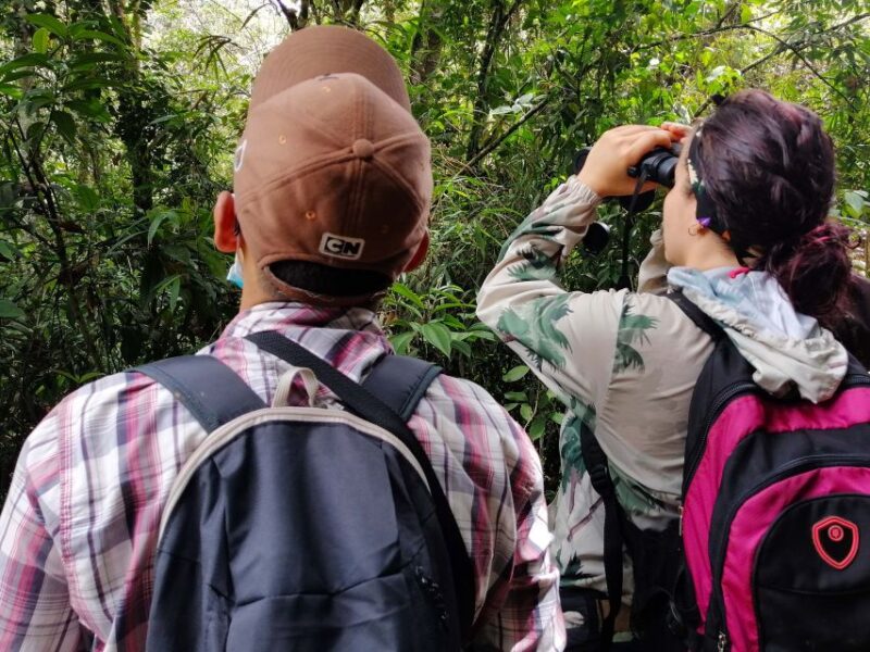 Cali: Bird Watching - Experience Highlights