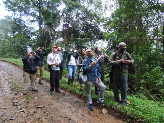 Cali: Bird Watching in The San Antonio Fog Forest - Tour Logistics