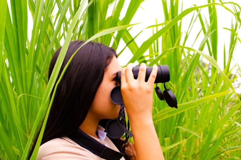 Cali: Birdwatching in Dapa - Location and Significance