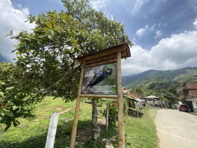 Cali: Birdwatching in Pance - Booking and Cancellation Policy