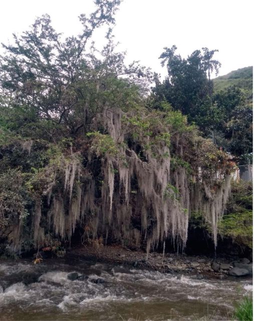Cali: Cali River Waterfall and GREAT River Pools - Itinerary Highlights