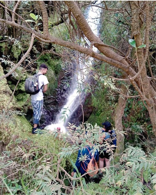 Cali: Cali River Waterfall and GREAT River Pools - Guide and Reviews