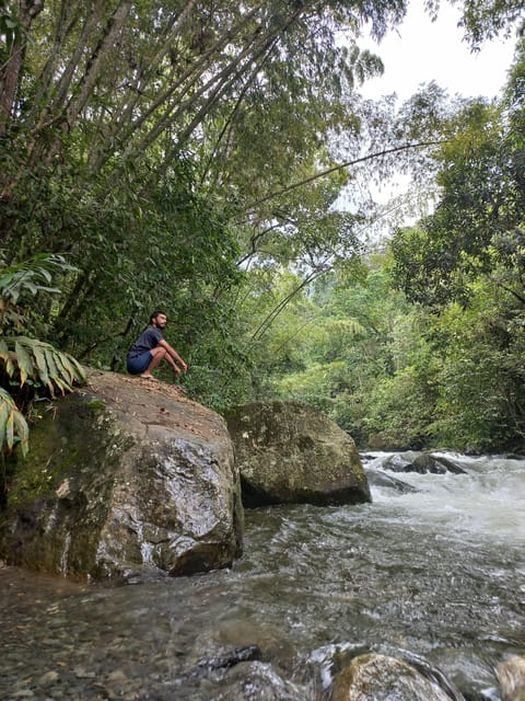 Cali: Full-Day Nature, Food, and Salsa XP With a Local - Transportation and Accessibility