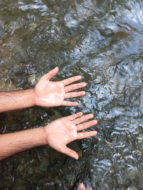 Cali: Full-Day Nature, Food, and Salsa XP With a Local - Explore Pance River or Hummingbird Paradise