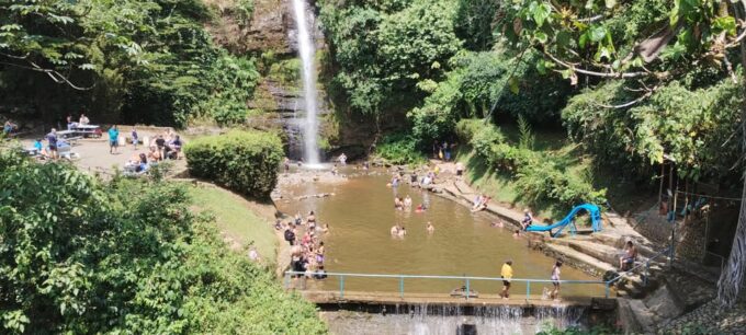 Cali: Full-Day Nature, Food, and Salsa XP With a Local - Relish Regional Cuisine at Carbones Y Parrilla