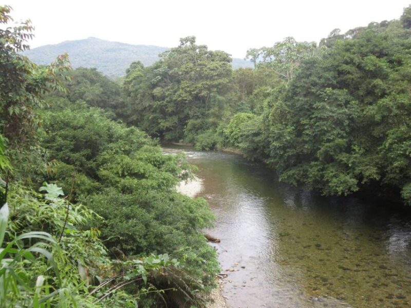 Cali: Guided Day-Trip to San Cipriano With Traditional Lunch - Highlights and Activities