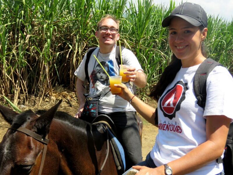 Cali: Horseback Riding - Suitable Riding Levels
