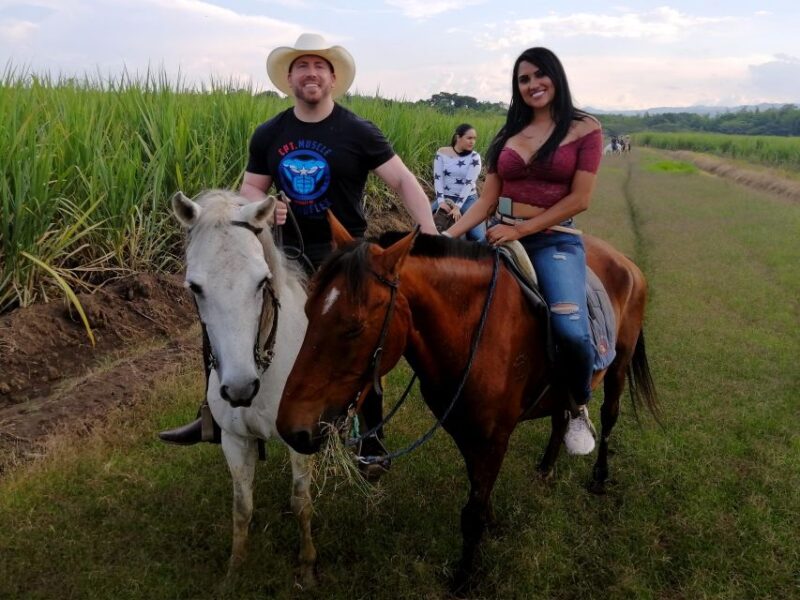 Cali: Horseback Riding - Personalized Attention and Guidance