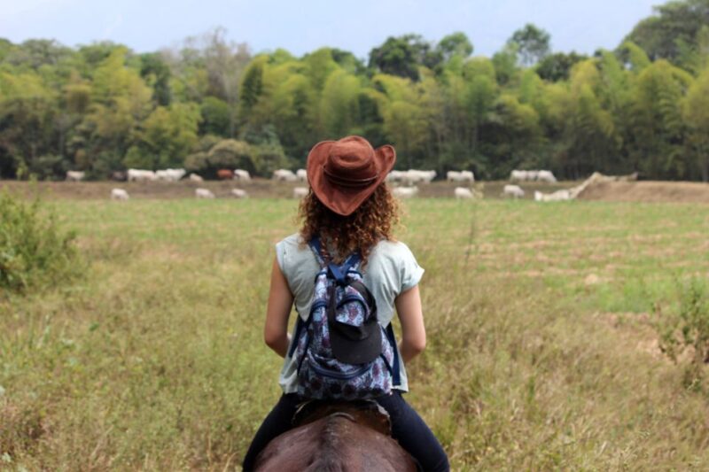 Cali: Horseback Riding - Key Points