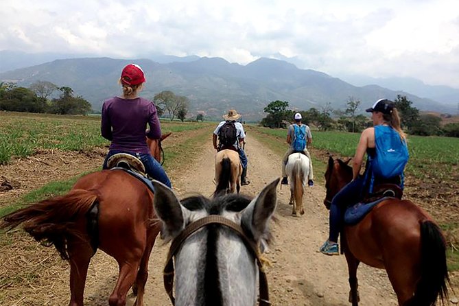 Cali: Horseback Riding Through Beautiful Landscapes and Mountains - Guided Tour and Instruction