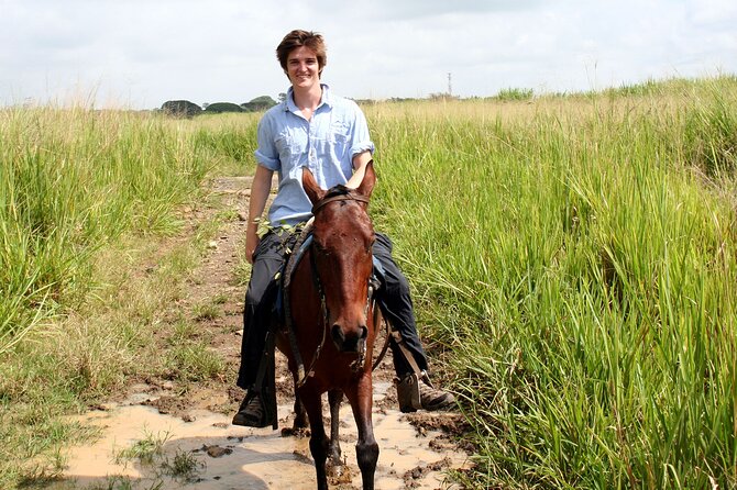 Cali: Horseback Riding Through Beautiful Landscapes and Mountains - Scenic Highlights and Viewpoints