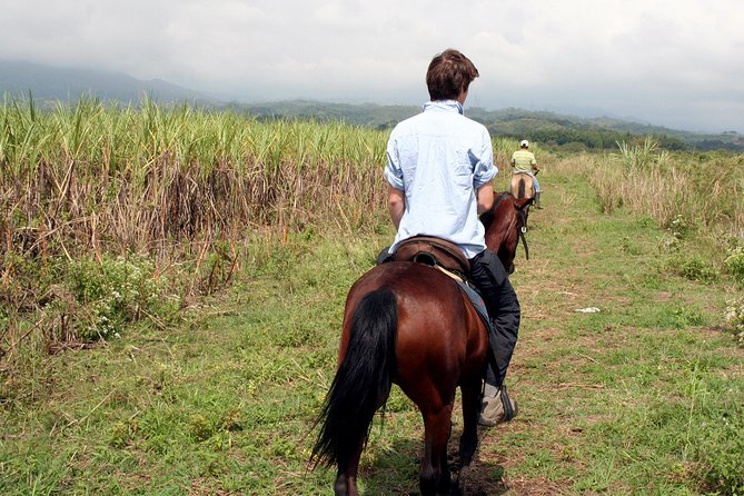 Cali: Horseback Riding Through Beautiful Landscapes and Mountains - Traveler Reviews and Ratings