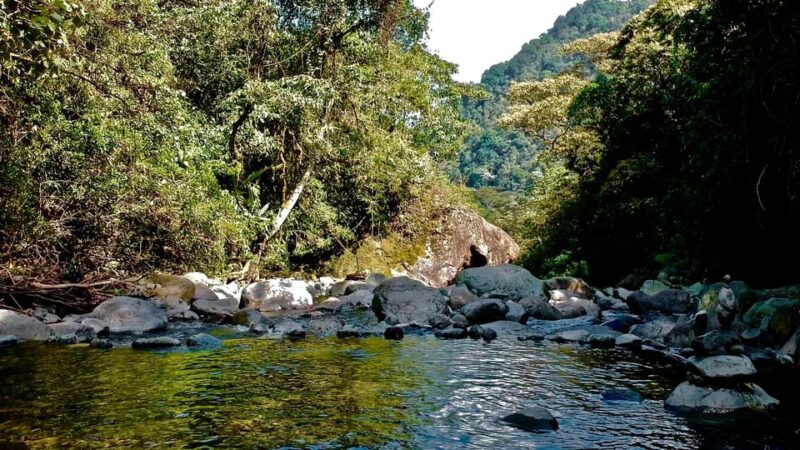 Cali: Jeep, Wala, at the Gates of a Natural National Park - Optional Cultural Performance