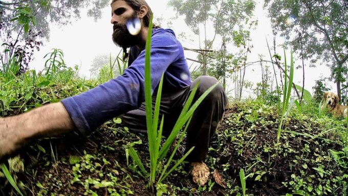 Cali: Jepp, Wala. Walk Between Oak Forest and Organic Crops - Frequently Asked Questions