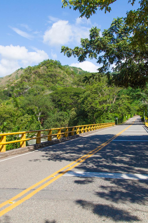 Cali to or From Coffee Region Private Transfer - Key Points