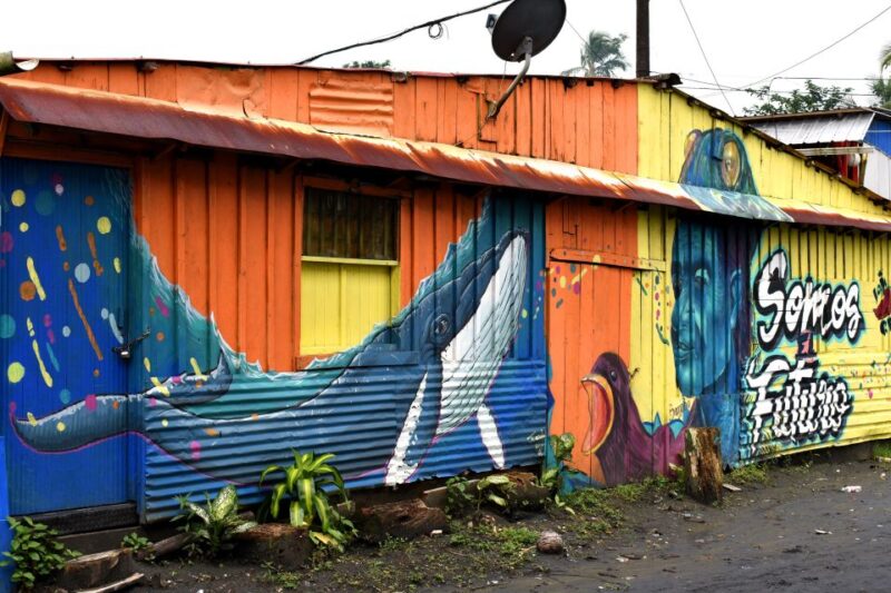 Cali: Whale Watching in the Colombian Pacific Coast - Whale Watching Experience