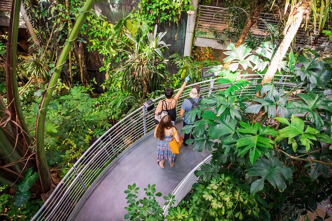 California Academy of Sciences General Admission Ticket - Inclusions and Exclusions