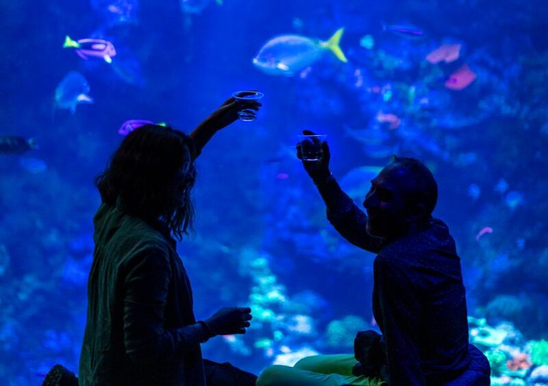 California Academy of Sciences NightLife Plus Admission - Included Amenities