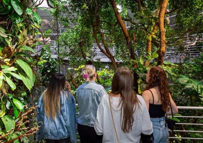California Academy of Sciences NightLife Plus Admission - Frequently Asked Questions
