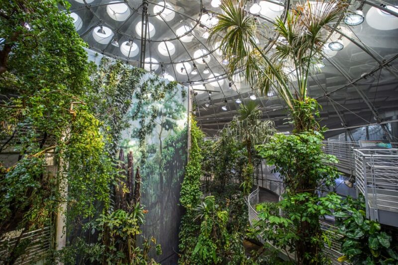 California Academy of Sciences With Golden Gate Park Tour - Itinerary Highlights