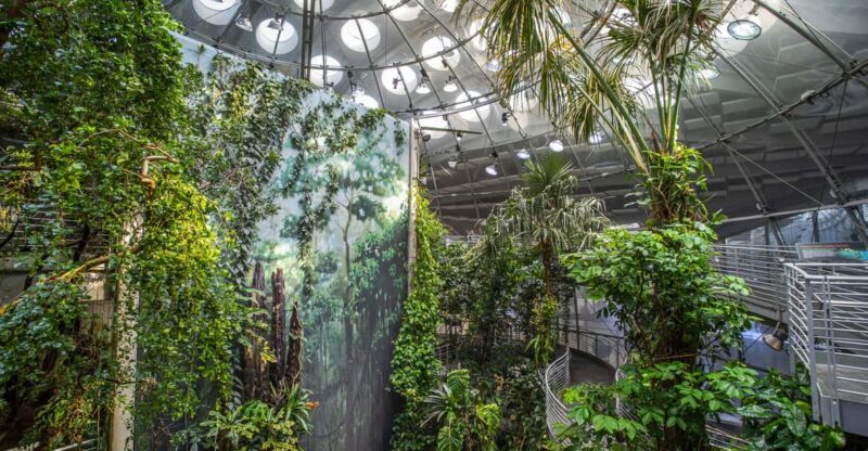 California Academy of Sciences With Golden Gate Park Tour - Tour Experience