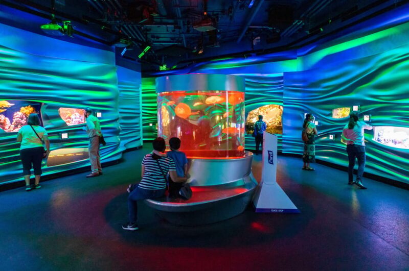 California Academy of Sciences With Golden Gate Park Tour - Important Information