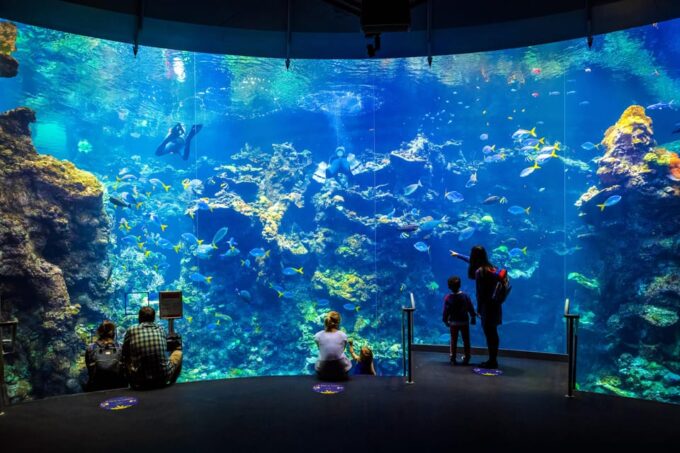 California Academy of Sciences With Golden Gate Park Tour - Frequently Asked Questions