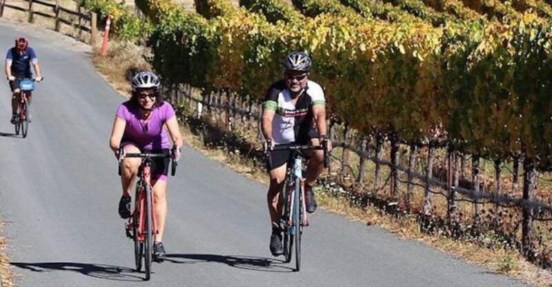Calistoga: Napa Valley Cycling and Winery Tour With Picnic - Experience Highlights