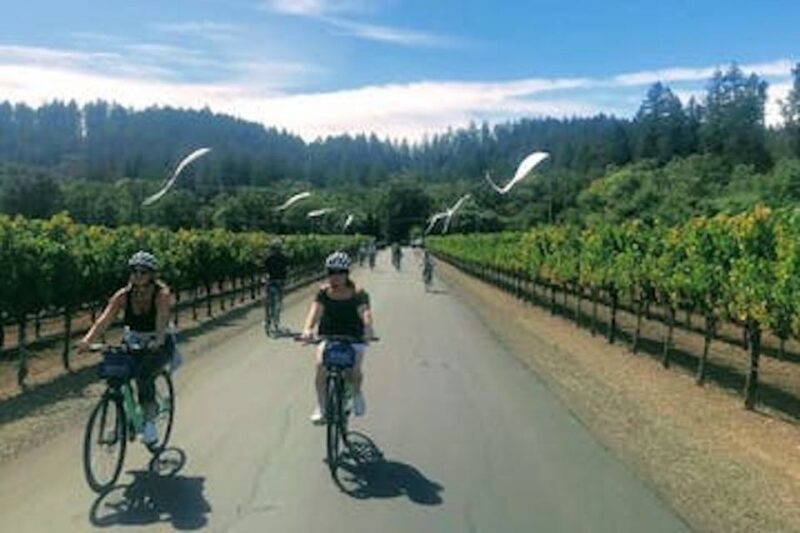 Calistoga: Napa Valley Cycling and Winery Tour With Picnic - Tour Inclusions