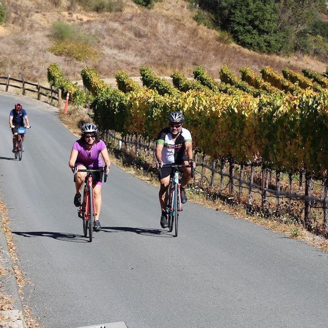 Calistoga: Napa Valley Cycling and Winery Tour With Picnic - Weather Policy