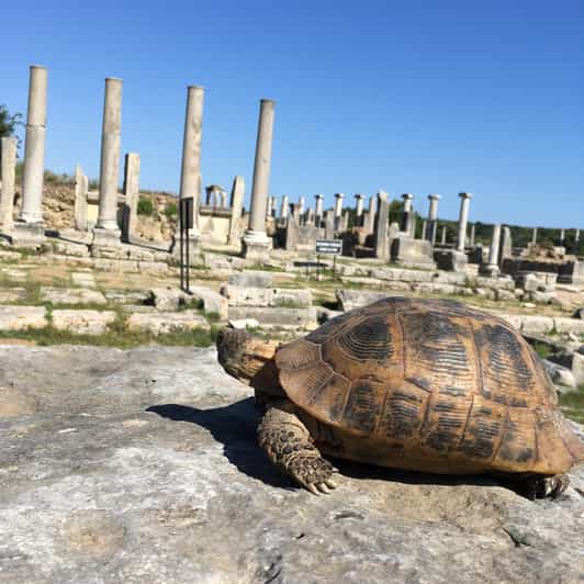 Call Of Ancient History In Perge - Key Points